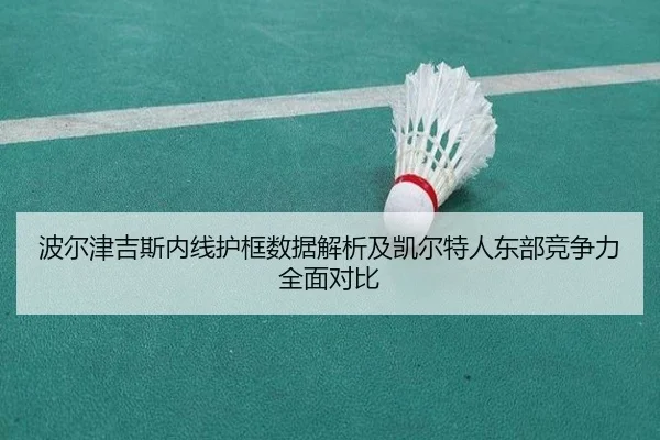 波尔津吉斯内线护框数据解析及凯尔特人东部竞争力全面对比